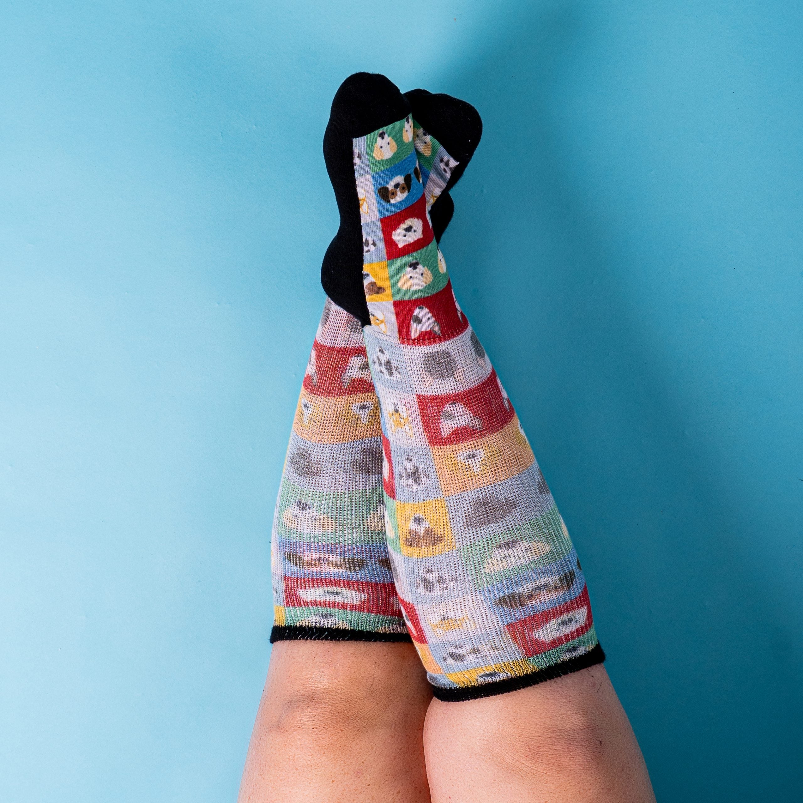 [lang:fr][lang:it][lang:de]