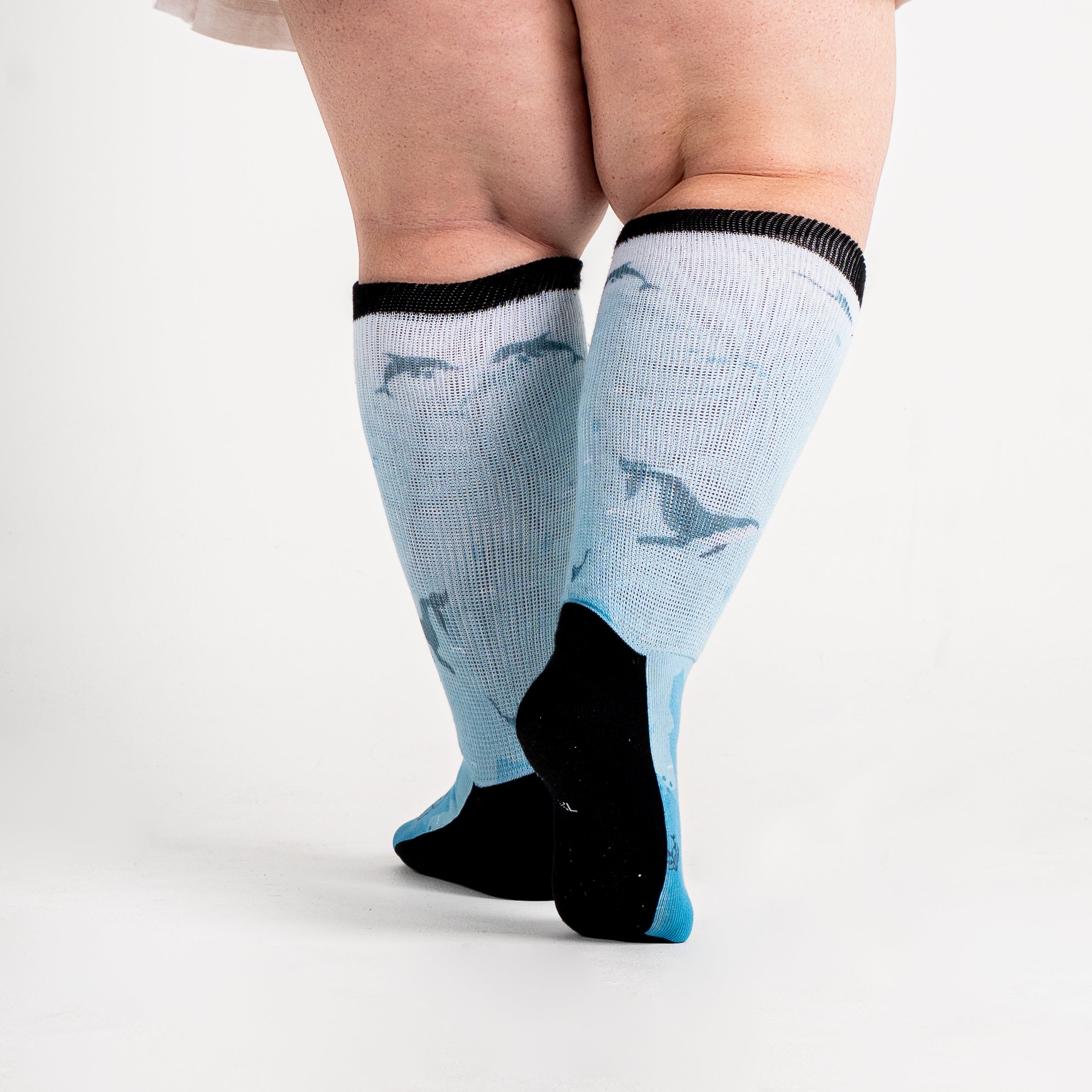 [lang:fr][lang:it][lang:de]